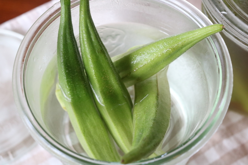 オクラ水と茄子のはさみ揚げ ミセス サファイア 静けさの中で
