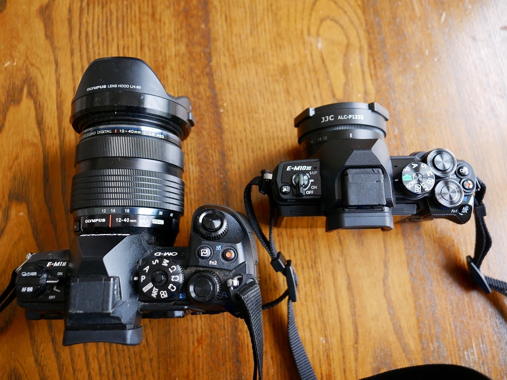 オリンパス OM-D E-M10 Mark III : デジカメ持って野に山に オリンパス OM-D E-M10 Mark III : デジカメ持って野に山に