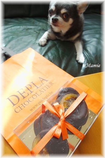 Belgian chocolate _d0387712_21483012.jpg
