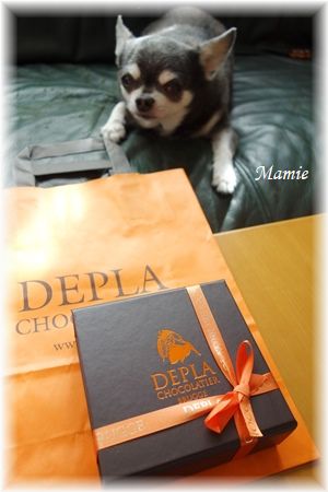 Belgian chocolate _d0387712_21501234.jpg