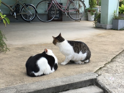 経済をまわす_d0184114_20520386.jpeg