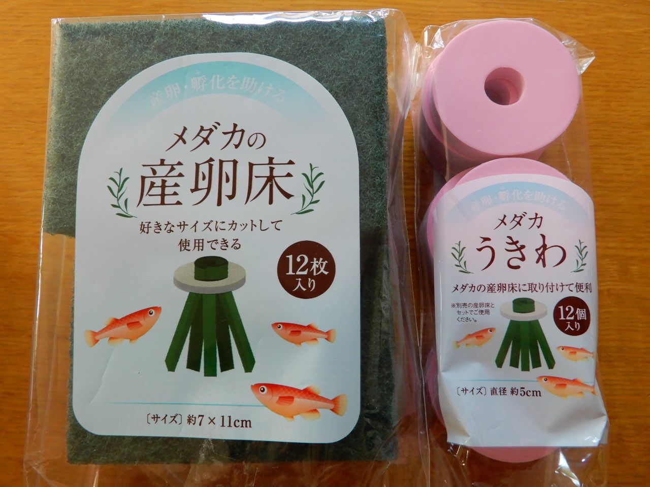 ちょっと暖かくなって夏日_c0025115_23364531.jpg