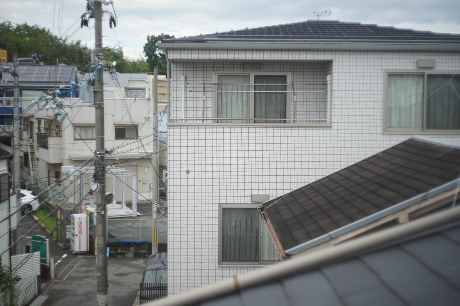 オートヤシノン 50mm F2 で_b0069128_11163751.jpg