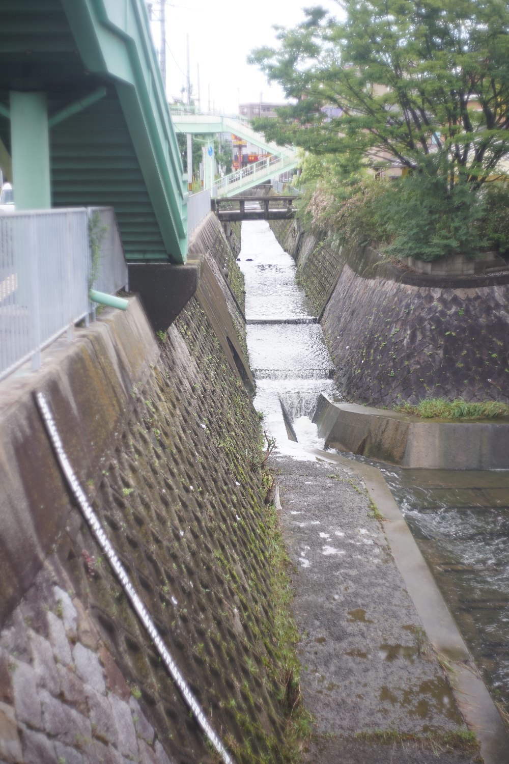 オートヤシノン 50mm F2 で_b0069128_11165476.jpg