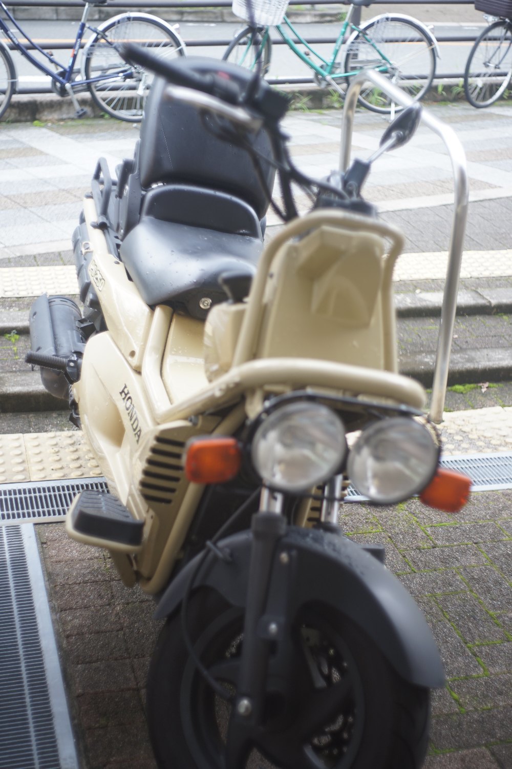 オートヤシノン 50mm F2 で_b0069128_11165803.jpg