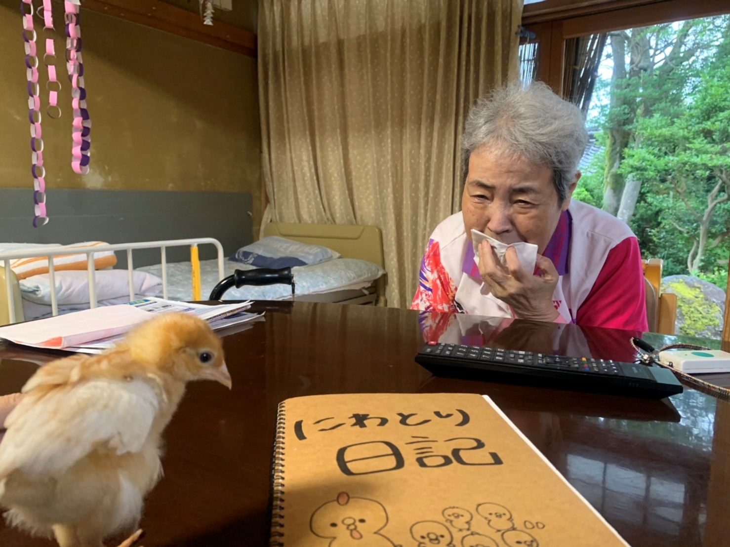 農業研修 つづき_d0180229_14472566.jpg