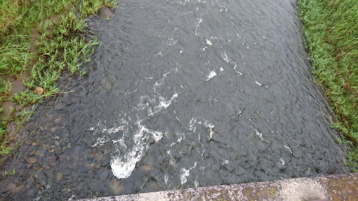 7月28日河川情報。午前..._c0266737_06211573.jpg