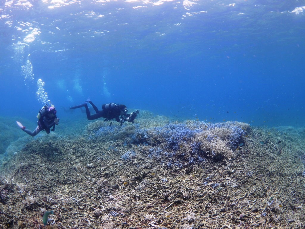 離島遠征～♪_a0189838_09164261.jpg