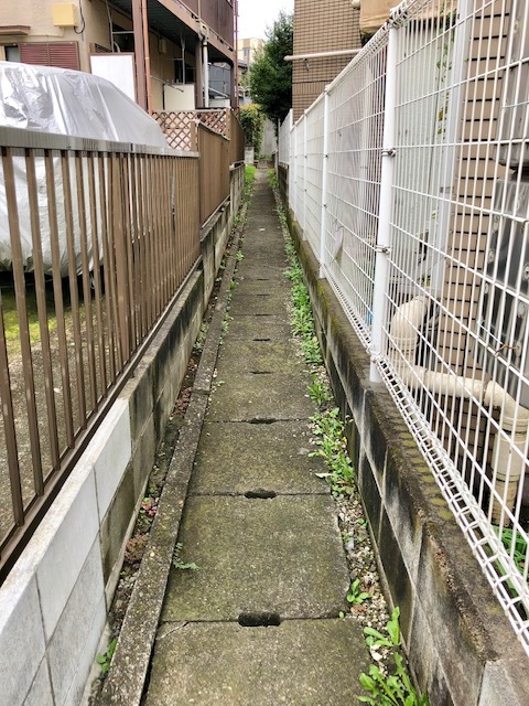 百々向川 業務スーパー支流(成増)_d0250051_17163751.jpg