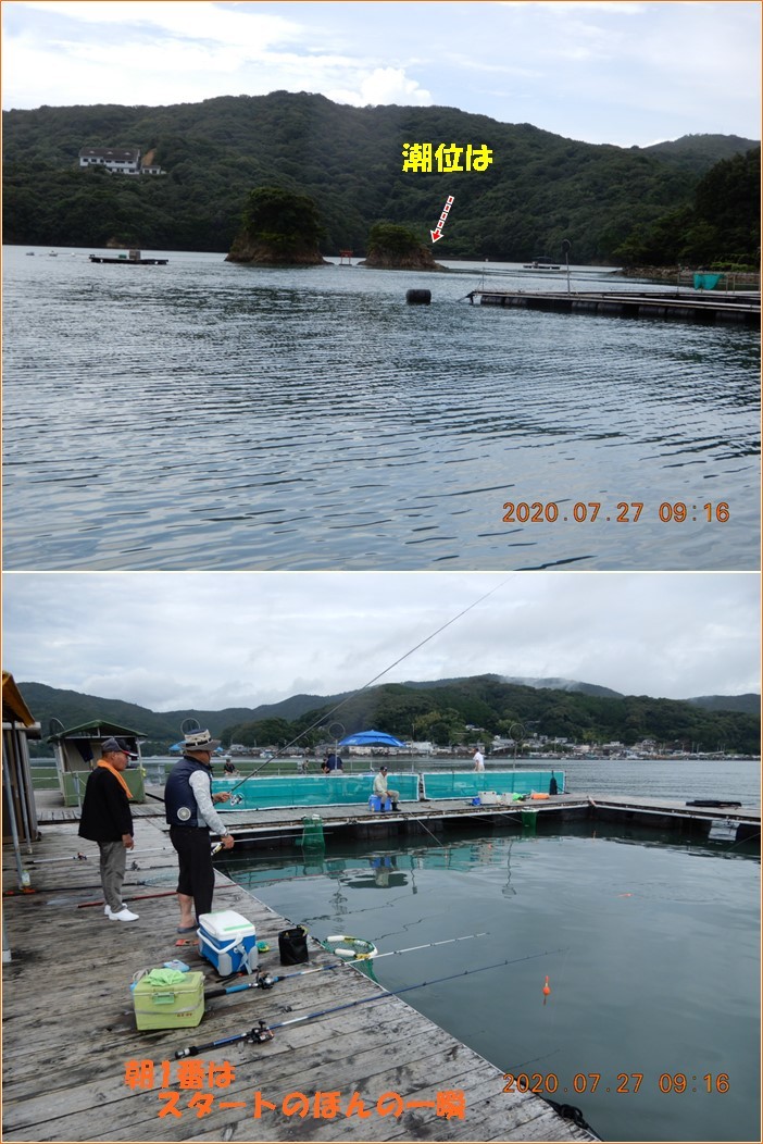 伝八海上釣り第10回失敗の記録 生け簀のサバ対策 鯛の餌 かぼちゃ団子の作り方 小次郎じじ物語 伝八海上釣り第10回失敗の記録 生け簀のサバ対策 鯛の餌 かぼちゃ団子の作り方 小次郎じじ物語