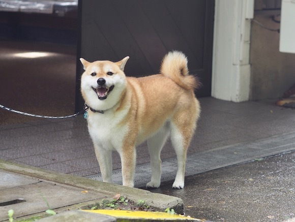 〜　長野へ　〜　　駅舎巡りの旅　その１。_a0232774_14025698.jpg