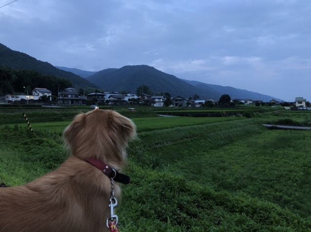 アネラさんづくし。_a0394574_21520312.jpeg