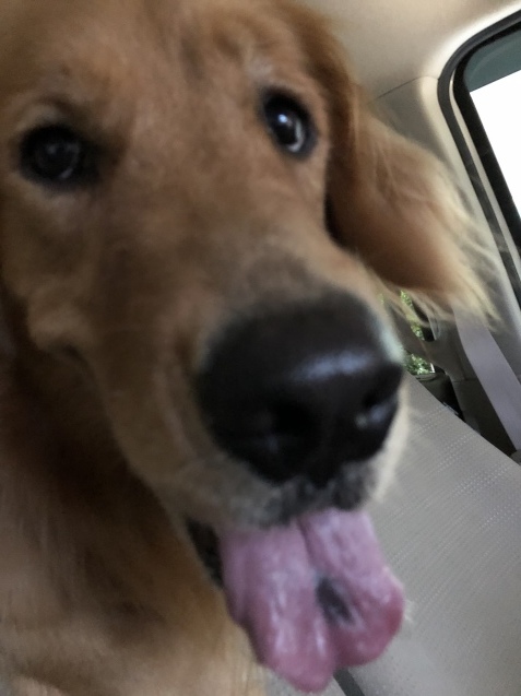 アネラさんづくし。_a0394574_22040706.jpeg