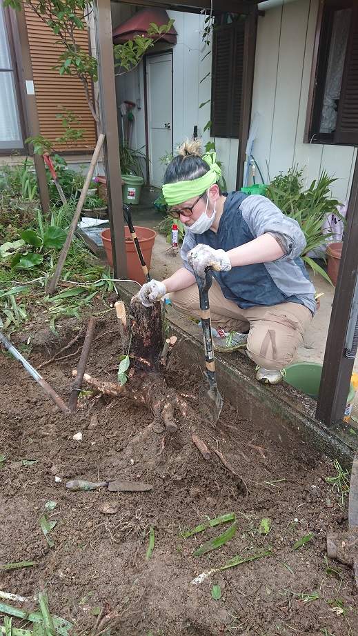 撤去_f0172281_636598.jpg