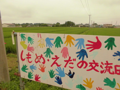 ７月２０日の田んぼの様子（下目黒小・枝野小）_d0247484_15062875.jpg