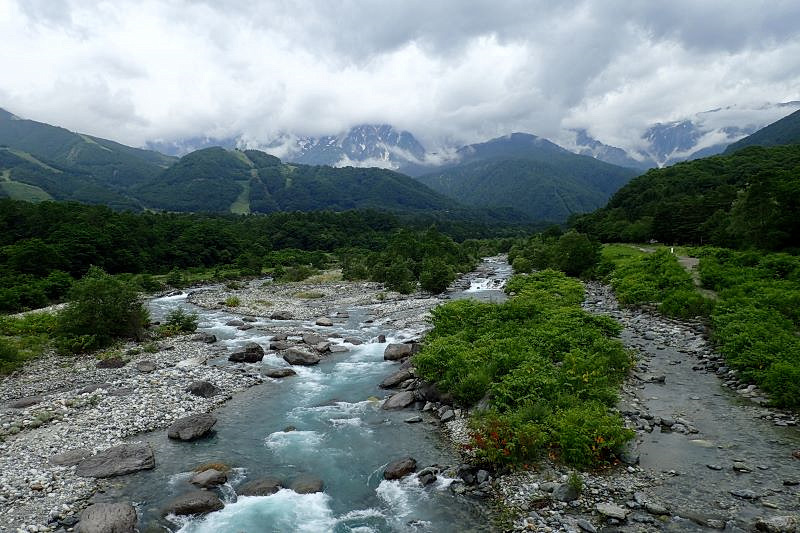 不思議の森の迷い人