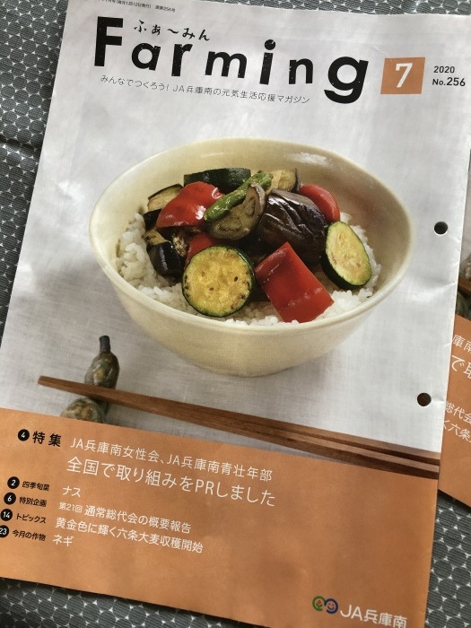 ご飯がもっと美味しい旬レシピ 〜ふあーみん6月号/2020_d0199992_13175409.jpeg