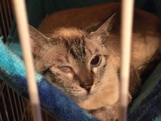 もうしばらく様子見_f0242002_14281834.jpg