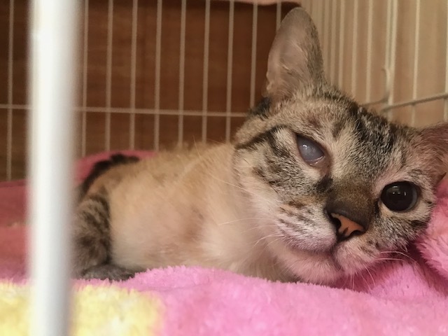 もうしばらく様子見_f0242002_14283105.jpg
