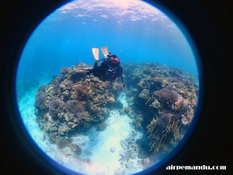 7月29日今日は水納島・ジンベイザメ・青の洞窟!!まさに夏メニューだな!!_c0070933_22463419.jpg