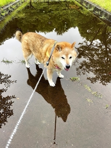 太陽が恋しい_b0314043_07533397.jpg