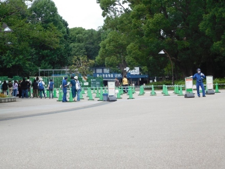 コロナ休園明けの上野動物園 2020.7.28_e0266067_17155677.jpg