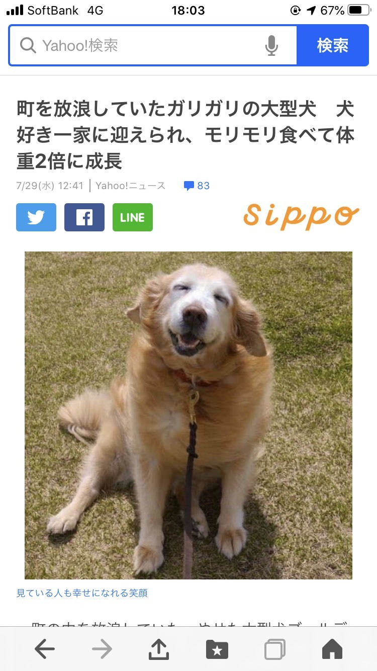 NEWS。_a0394574_21470720.jpeg