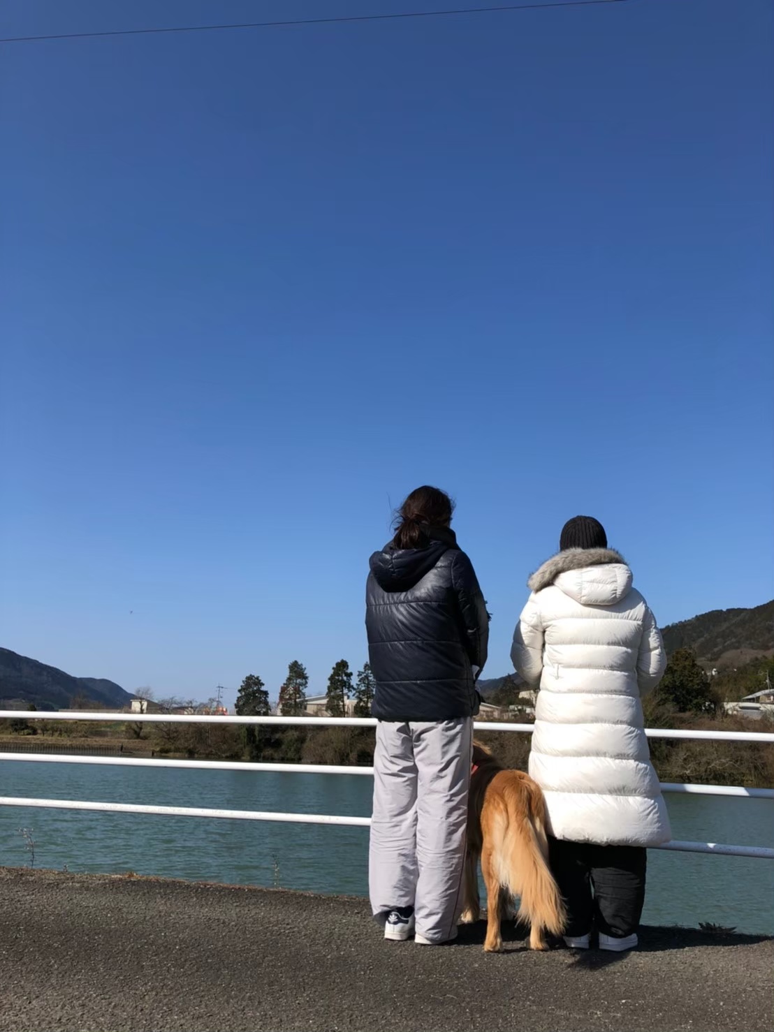 NEWS。_a0394574_22414308.jpeg