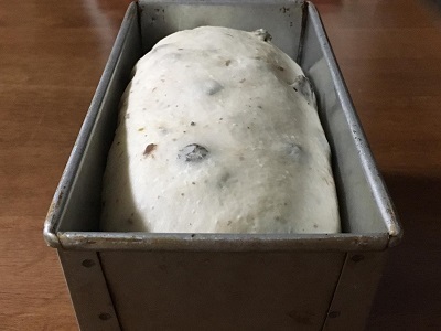 大好きなミサキドーナツとレーズン食パン_f0231189_23023591.jpg