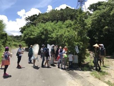 昆虫観察ウォーキング〜タマムシを見に行こう〜無事終了しました_a0247891_10431091.jpeg