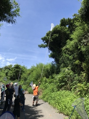 昆虫観察ウォーキング〜タマムシを見に行こう〜無事終了しました_a0247891_10444280.jpeg