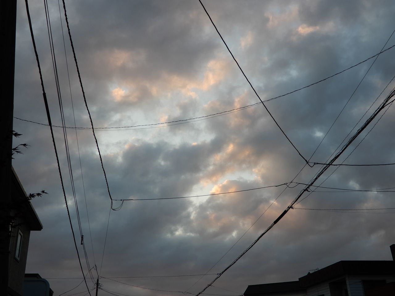 北海道の夏_c0025115_23202388.jpg