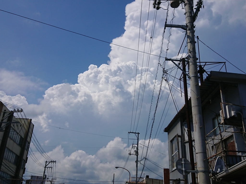 2020年盛夏始まり?_c0339918_14292438.jpg