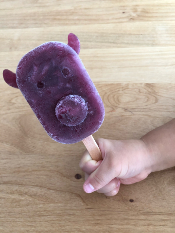 手作りアイスバー ぶどう 滋賀県愛荘町パンとお菓子とアイシングクッキーの教室chaleurの日記 シナモンカフェ
