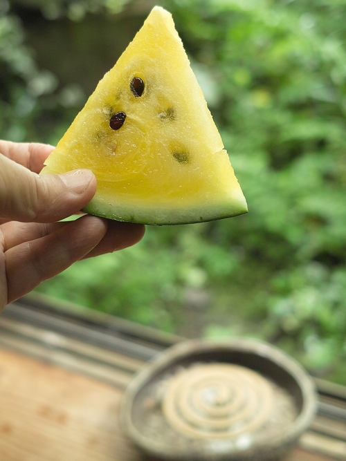 自由自足の飯米づくり・・・Wの草取りと草鳥り_d0005250_19411978.jpg