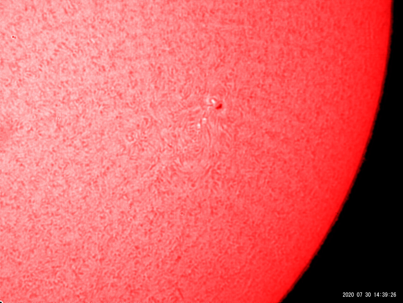 7月30日の太陽 大プロミネンス発生!_e0174091_16421896.jpg