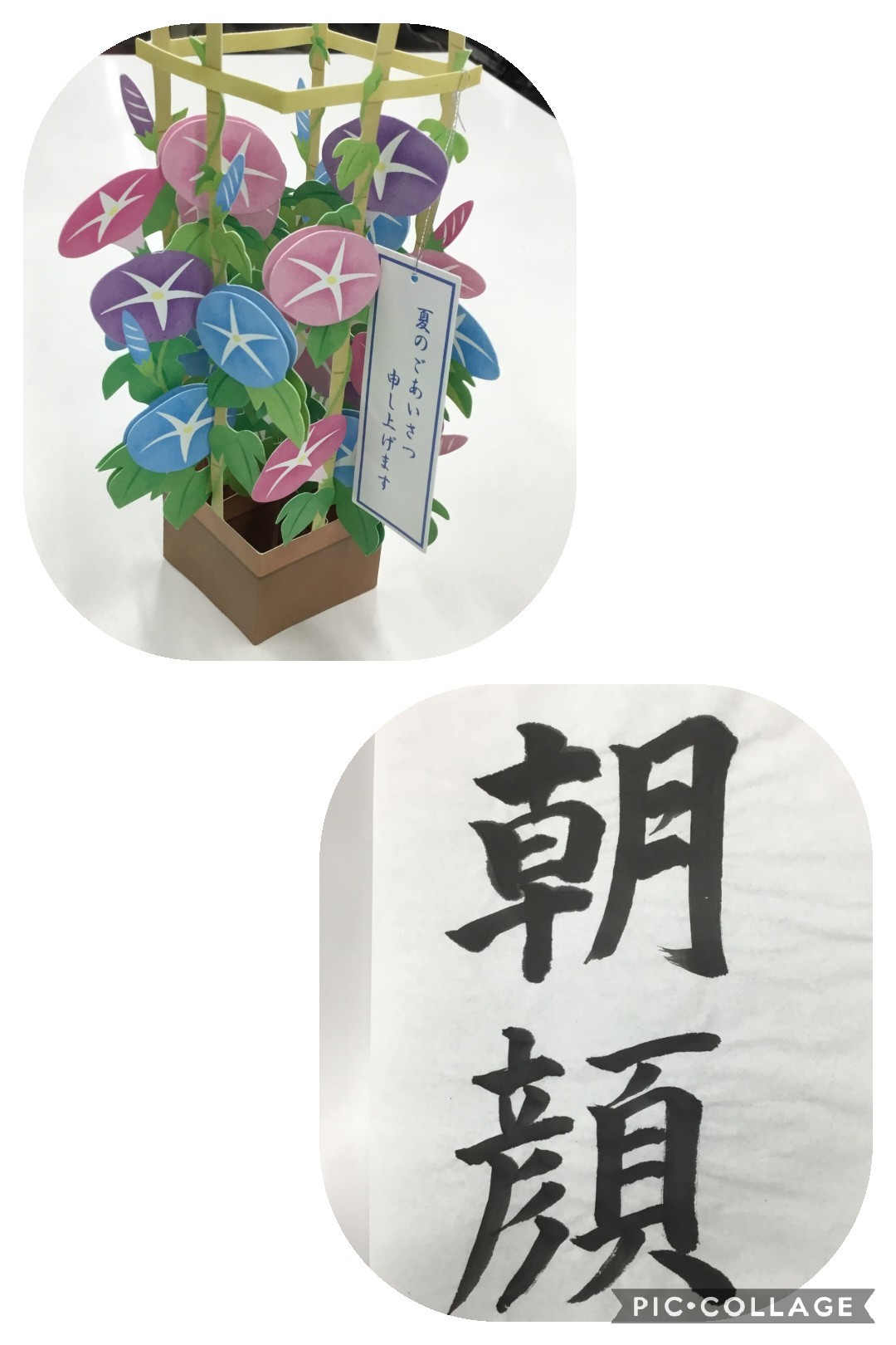 季節を味わう…🌻_e0281793_16173232.jpg