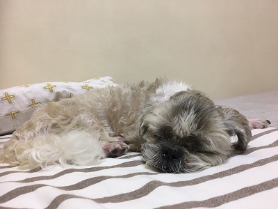 今日は王子の病院デー。_f0372998_21173573.jpg