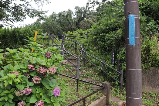 白山道奥~白山道奥公園~朝比奈北市民の森~鼻欠地蔵(2020.07.27)_e0245404_9412310.jpg