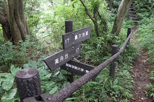 白山道奥~白山道奥公園~朝比奈北市民の森~鼻欠地蔵(2020.07.27)_e0245404_9421610.jpg