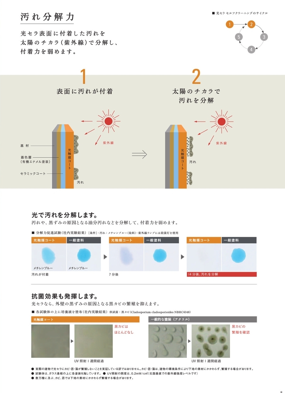 外装部倉庫の壁を新設しました!_e0336405_15392630.jpg