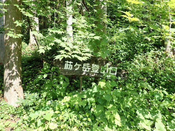 莇ケ岳~弟見山縦走_c0116915_14015549.jpg
