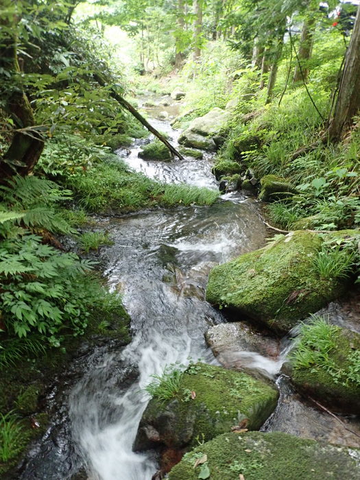 莇ケ岳~弟見山縦走_c0116915_14090590.jpg
