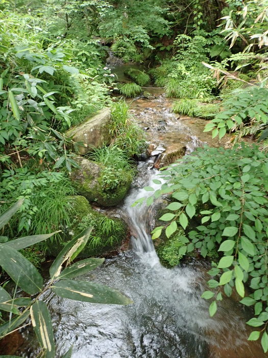 莇ケ岳~弟見山縦走_c0116915_14091496.jpg