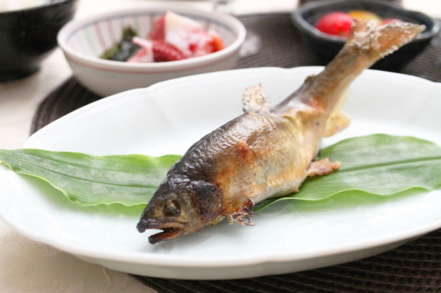 鮎の塩焼き を買ってきた 爆 登志子のキッチン 鮎の塩焼き を買ってきた 爆 登志子のキッチン