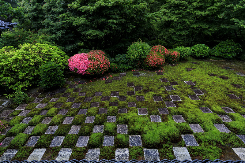 東福寺方丈庭園「八相の庭」のサツキたち_f0155048_226212.jpg