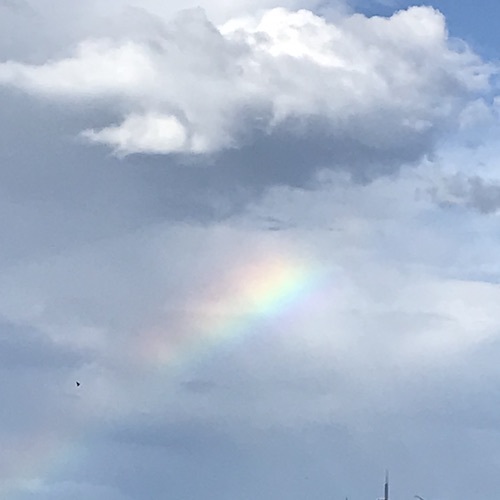 今日も、心に太陽を_c0113755_11571108.jpeg