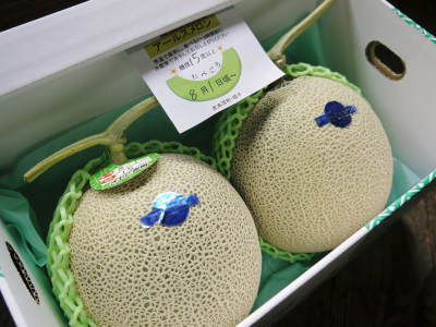 熊本産!匠の高級マスクメロン(アールスメロン)本日初出荷しました!_a0254656_18052207.jpg