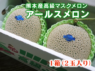 熊本産！匠の高級マスクメロン大好評予約販売受付中！令和3年度の冬期分を本日初出荷しました！ _a0254656_18135569.jpg