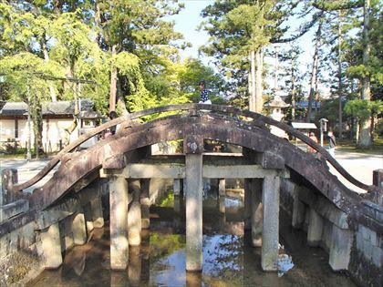 お多賀しゃくし・おたまじゃくし_e0044657_22084796.jpg